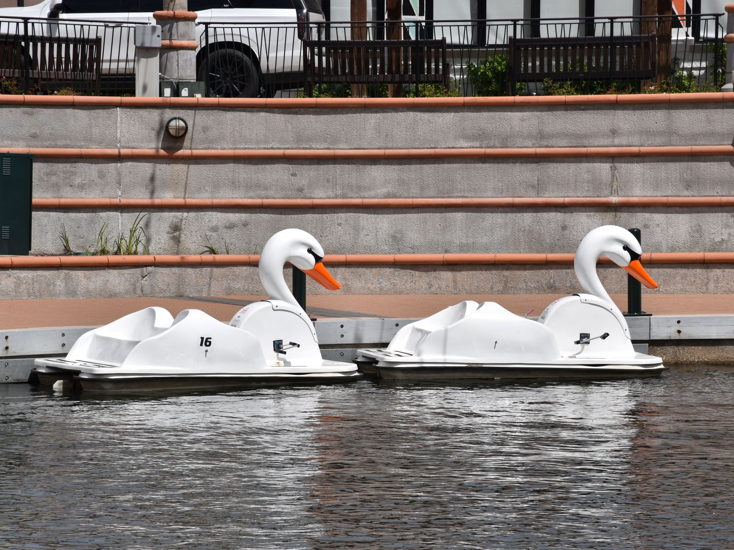 a bird sitting on a bench next to a body of water